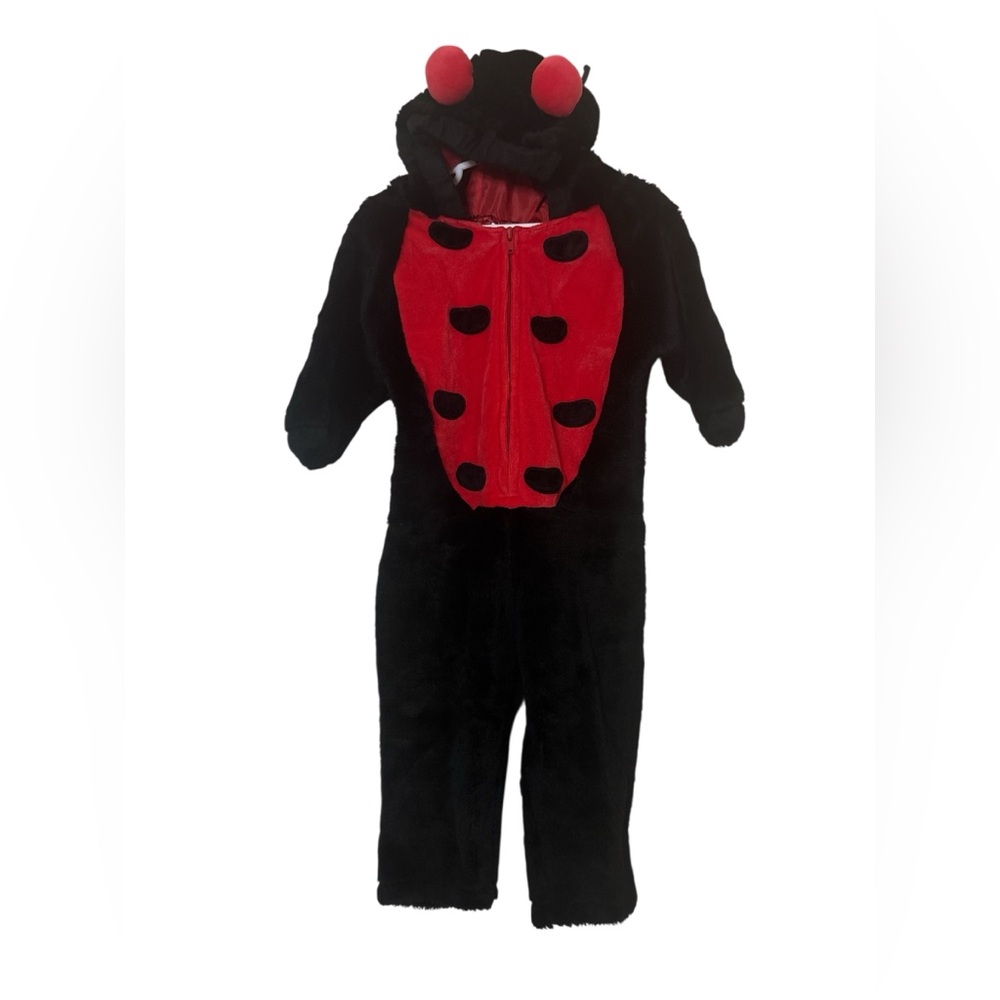 Kids Ladybug Costume - Black and Red